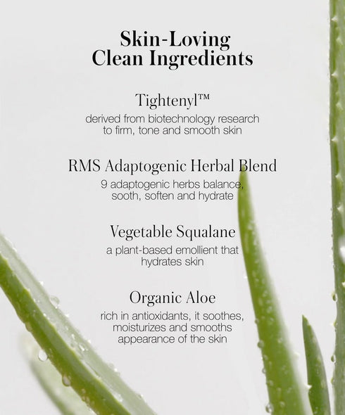 ReEvolve Natural Finish Foundation Refill - GLAM MODA