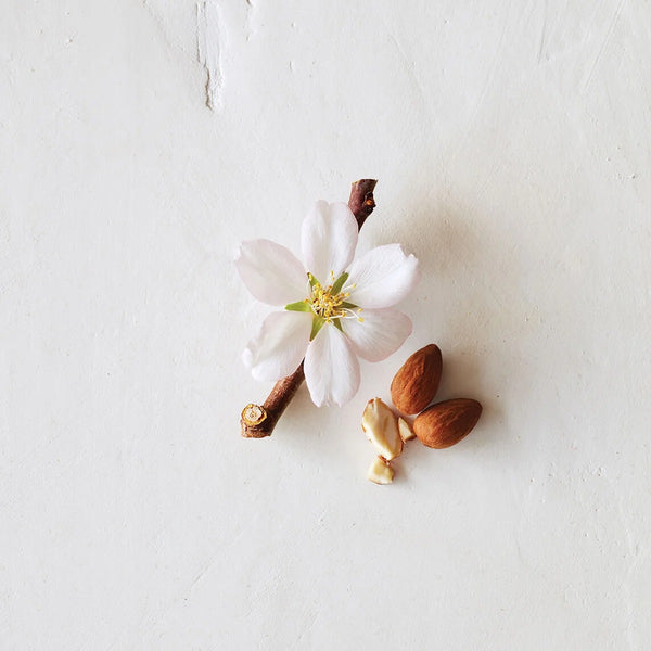 Cherry Almond Shampoo