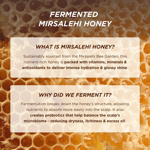 Honey Gloss Ceramide Therapy Hydrating Conditioner 200ml - GLAM MODA