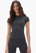 Graphite Grey - Ultimate Short Sleeve Top - GLAM MODA