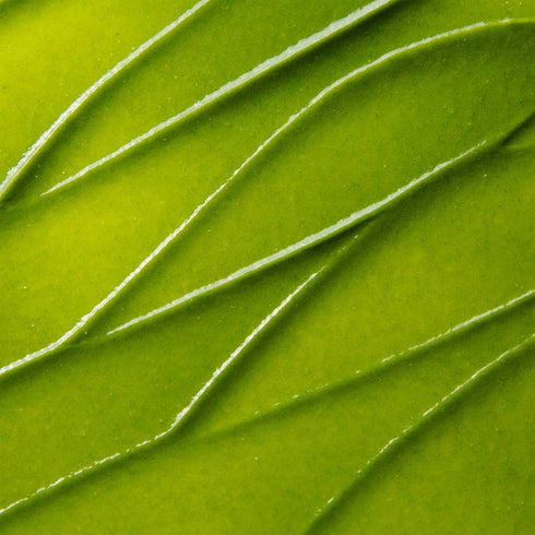 ExfoliKate Intensive Exfoliating Treatment - GLAM MODA