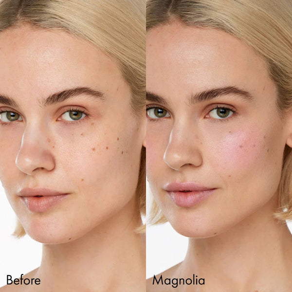 Color Glaze Lip And Cheek Pigment