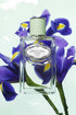Milano Les Infusions De Iris EDP For Her - 100 ml - GLAM MODA