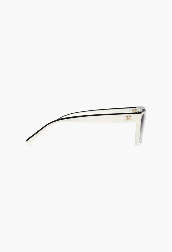 Square Sunglasses- 1763S6