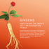 Concentrated Ginseng Rejuvenating Cream - Visibly Plump Skin & Reduce Wrinkles