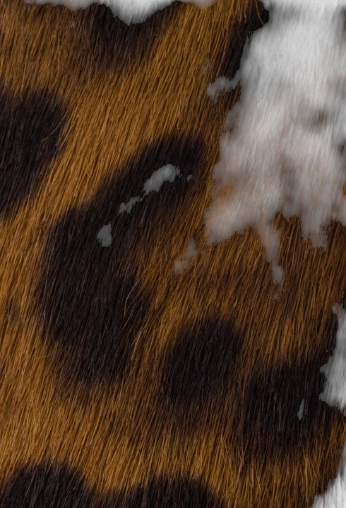 Honey - Printed Leather Ballerinas - GLAM MODA