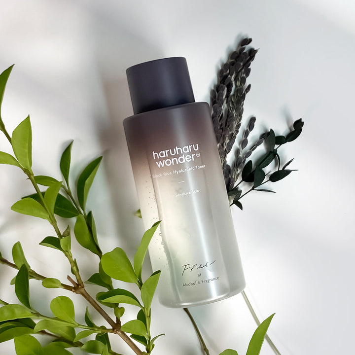Black Rice Hyaluronic Toner Free of Alcohol Fragrance - GLAM MODA