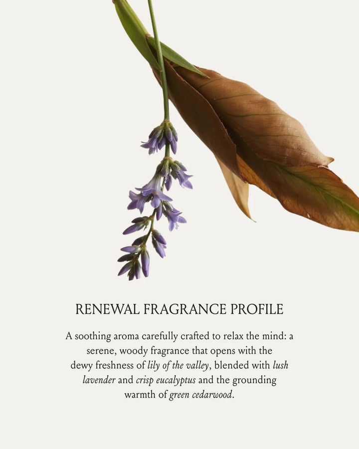 Renewal Hair And Body Oil - GLAM MODA
