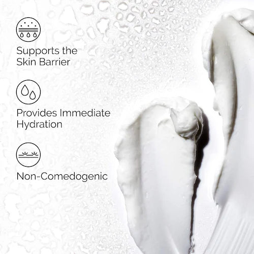 Natural Moisturizing Factors + Hyaluronic Acid Daily Moisturizer