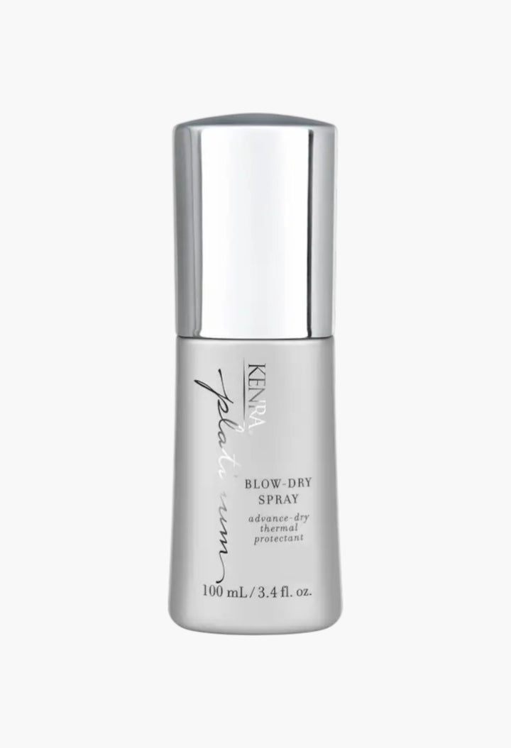 Blow-Dry Spray Frizz Control Heat Protectant - GLAM MODA