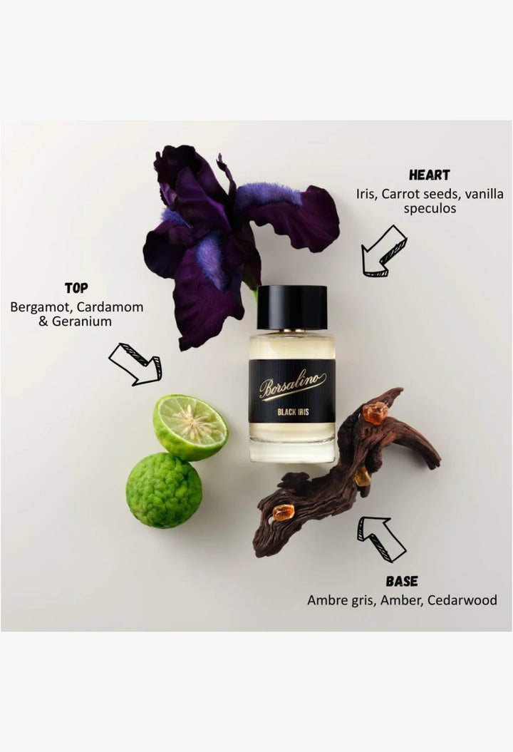 Borsalino Black Iris Perfume for Men – Eau de Parfum