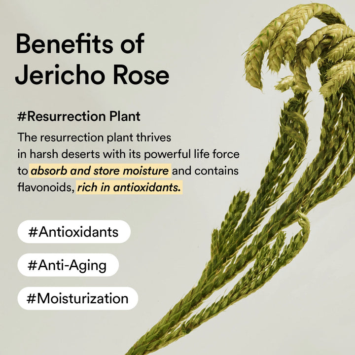 Non-Animal Collagen Eye Cream Jericho Rose Tube