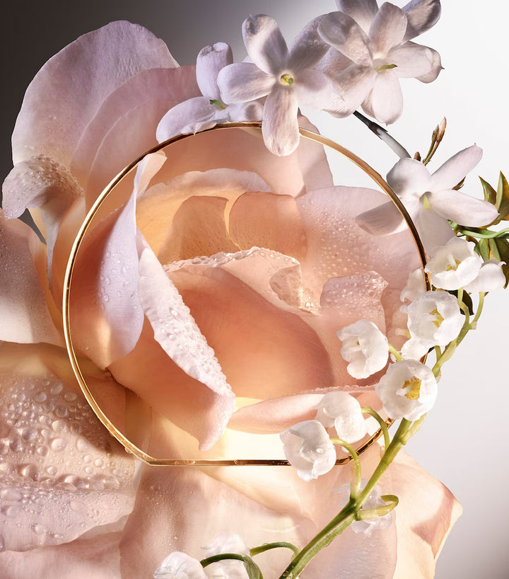 Absolue 6AM Rose Eau de Parfum - GLAM MODA