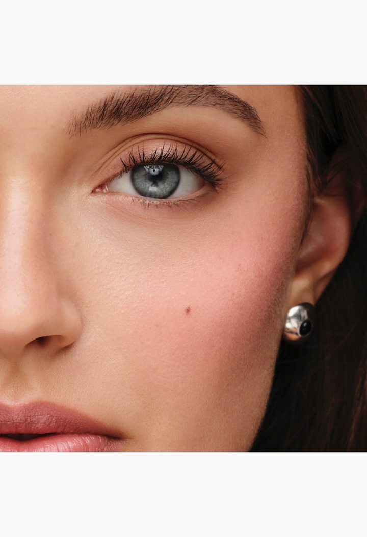 Westman Atelier The Eyeshadow Holiday Edit