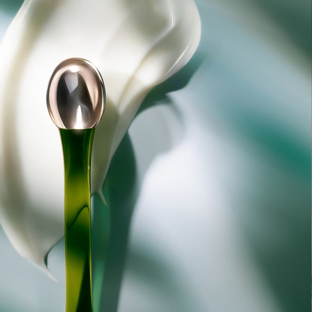 The Eye Concentrate - GLAM MODA