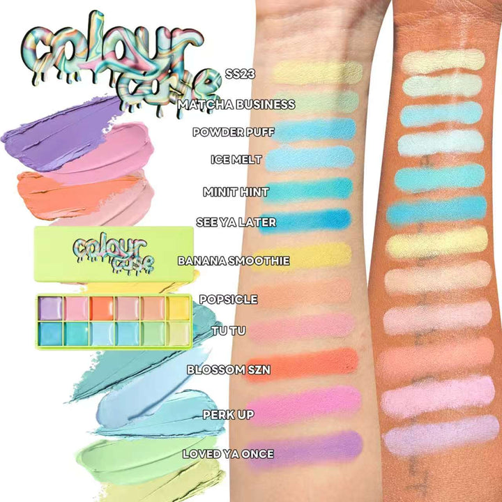 Colour Case Cosmetic Paint Palette