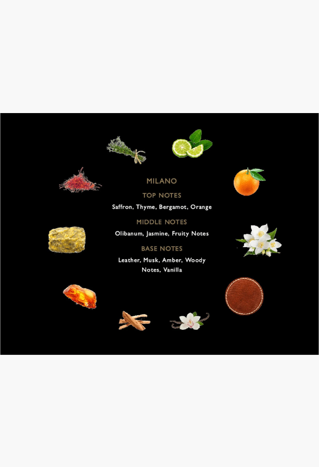 GLAM MODA Milano Parfum fragrance notes infographic featuring saffron, thyme, bergamot, orange, jasmine, and leather.
