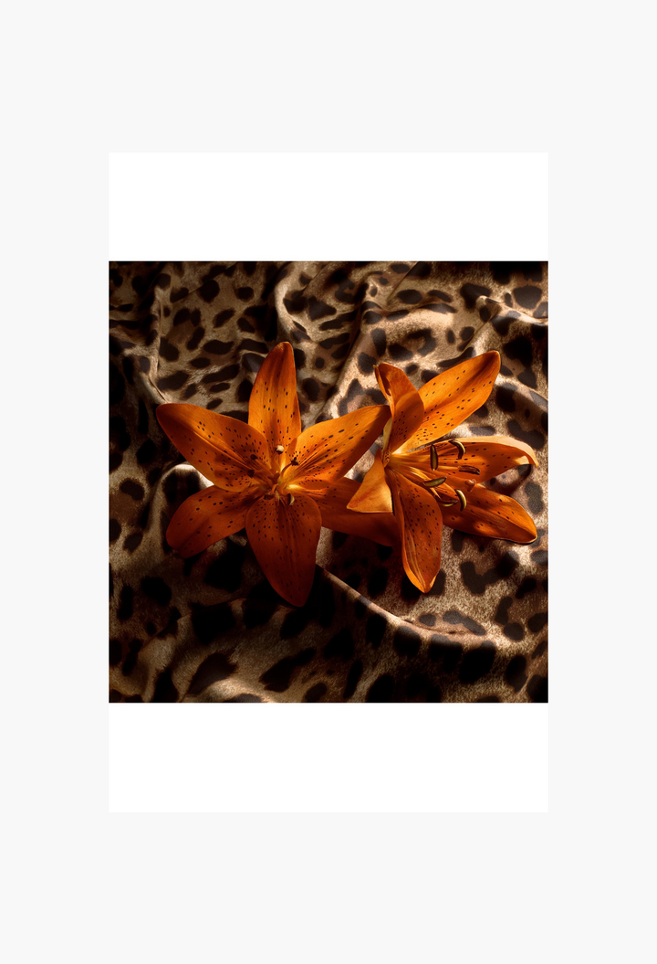 Dolce & Gabbana BY WOMAN Re-Edition Eau de Parfum