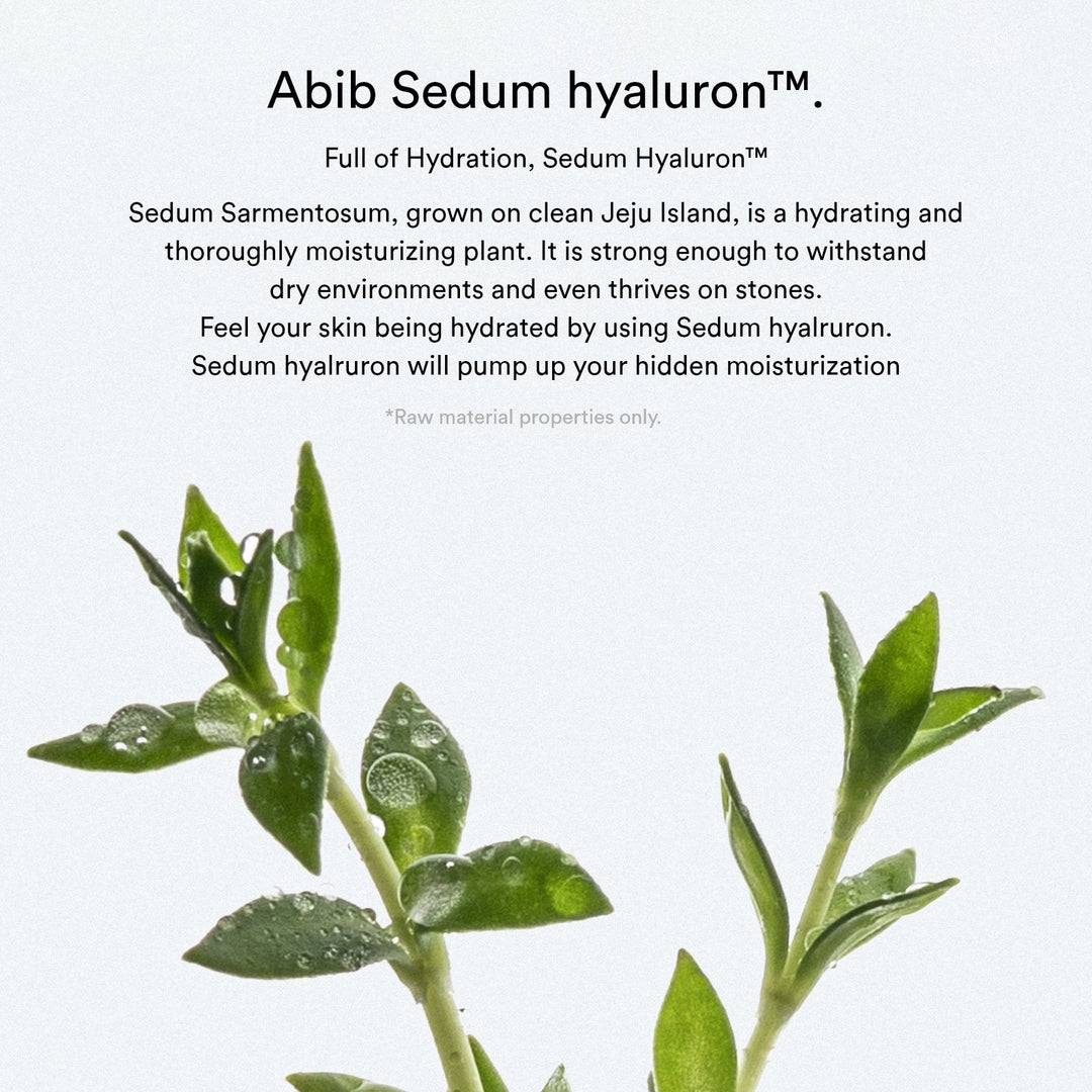 Sedum Hyaluron Cream Hydrating Pot