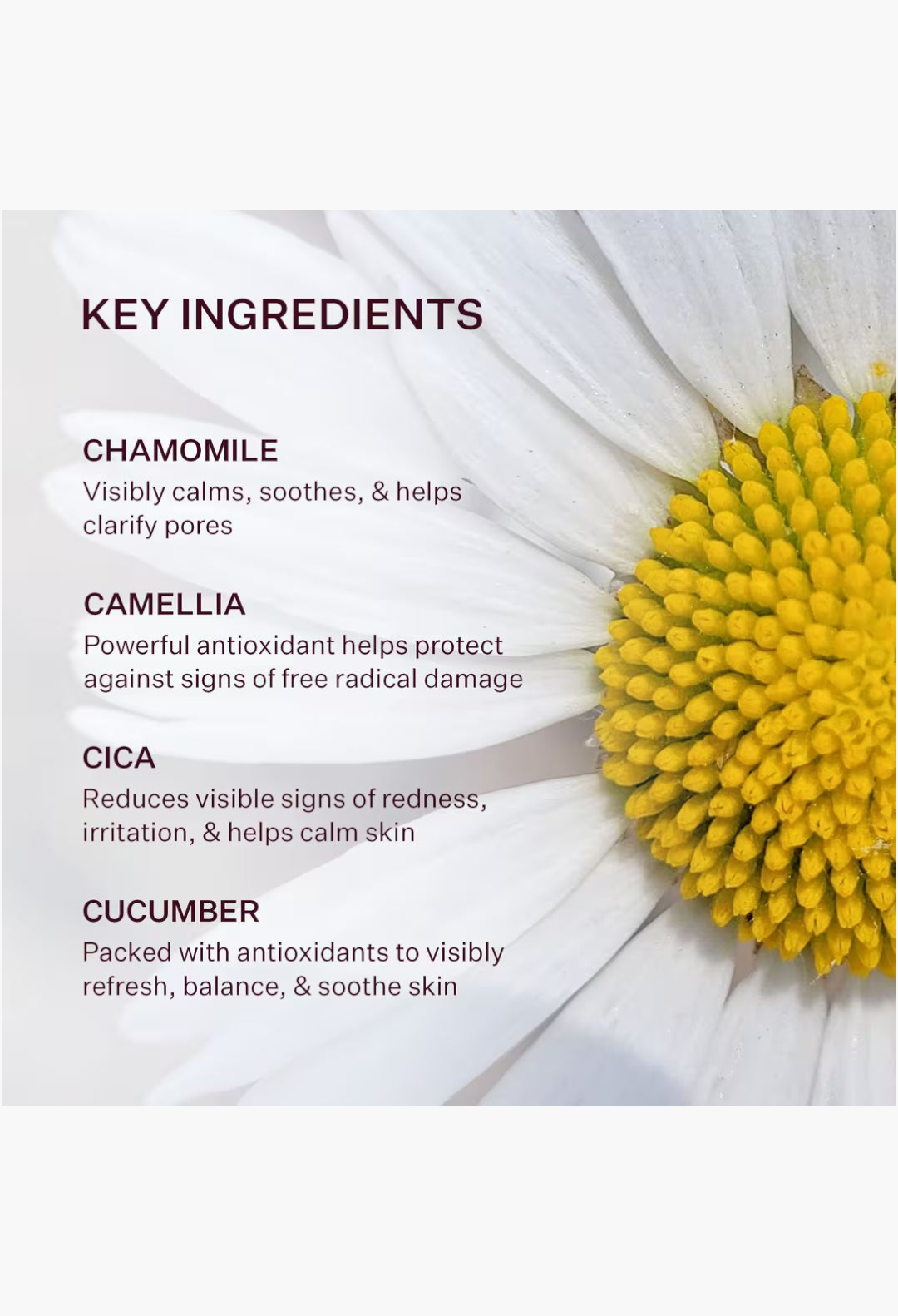 GLAM MODA Power Calm Hydrating Gel Cleanser key ingredients list featuring chamomile, camellia, cica, and cucumber