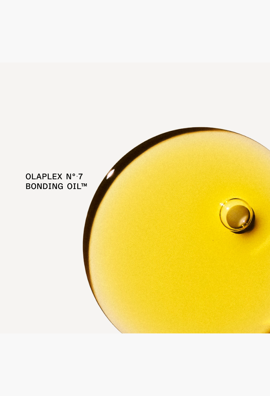 OLAPLEX THE KEY TO SHINE SET
