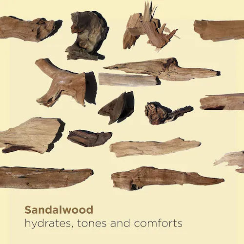 Santal Soothing & Hydrating Face Treatment Oil - GLAM MODA