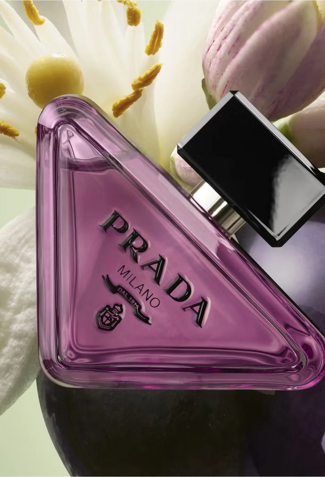 Sweet Chemistry Eau De Parfum