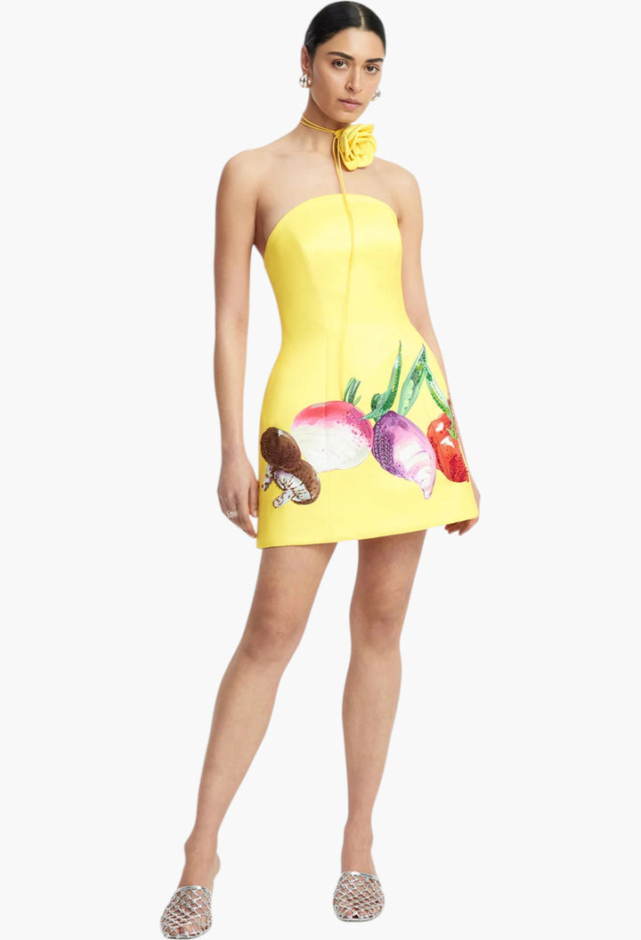 Appliqué Floral Bustier Mini Dress - GLAM MODA