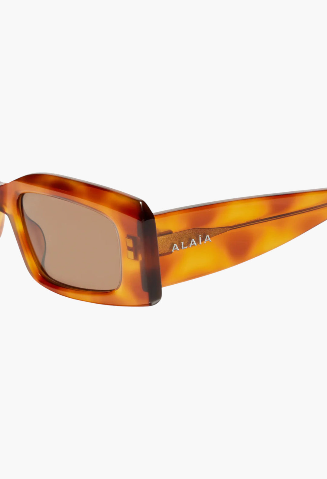 Absolu Rectangular Sunglasses - GLAM MODA