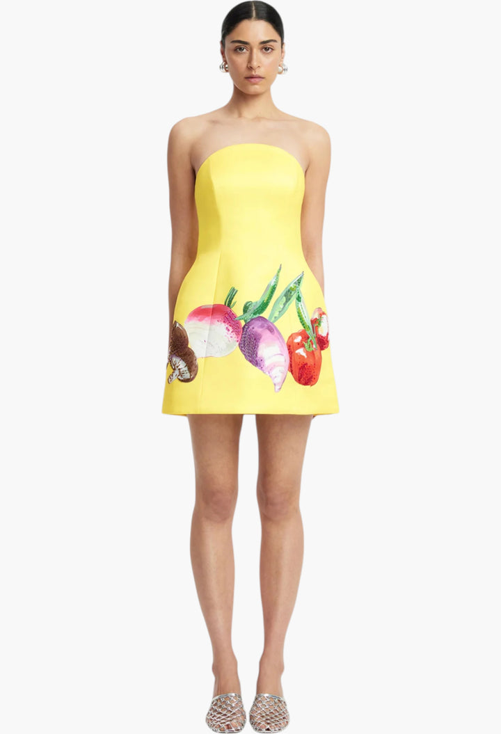 Appliqué Floral Bustier Mini Dress - GLAM MODA