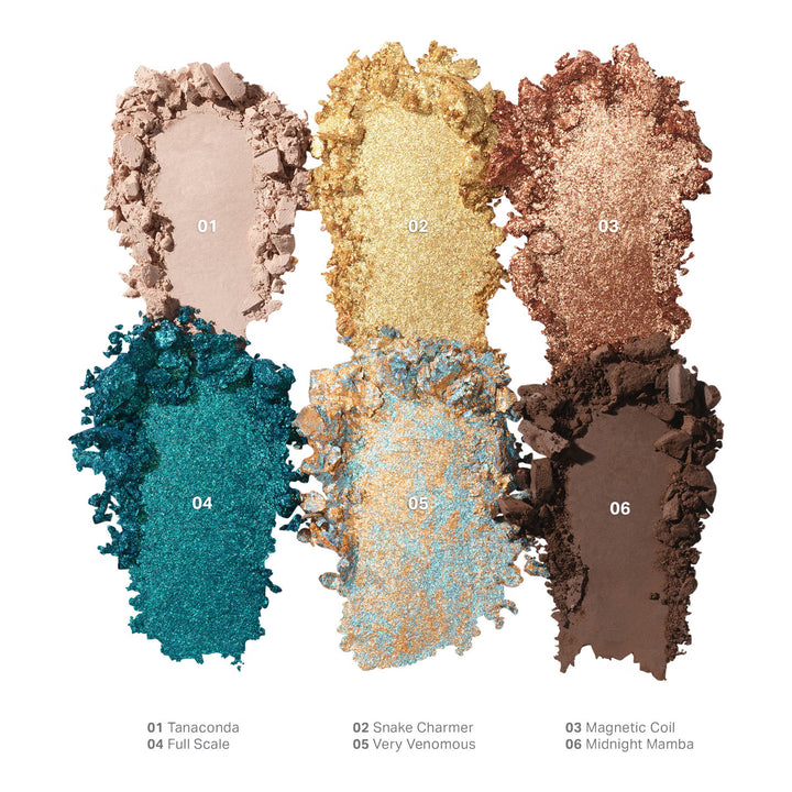 Chroma Eyeshadow Palette - Morphe Eyeshadow - GLAM MODA