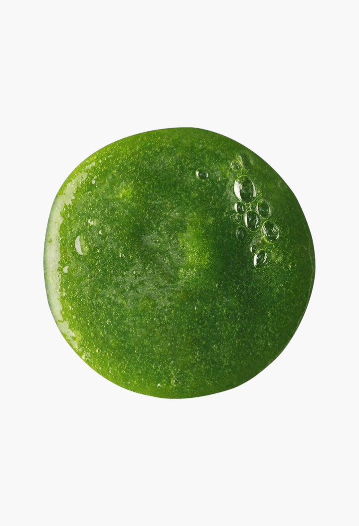 Wasabi Shan Kui – Shampoo Spicy stimulation - GLAM MODA