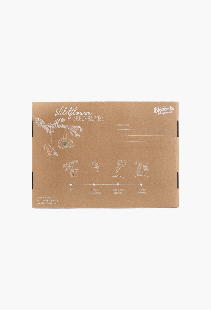 Terrain Seed Bomb Advent Calendar