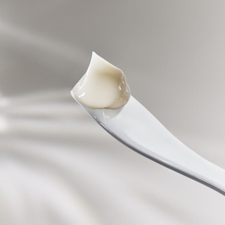 The Moisturizing Fresh Cream - GLAM MODA