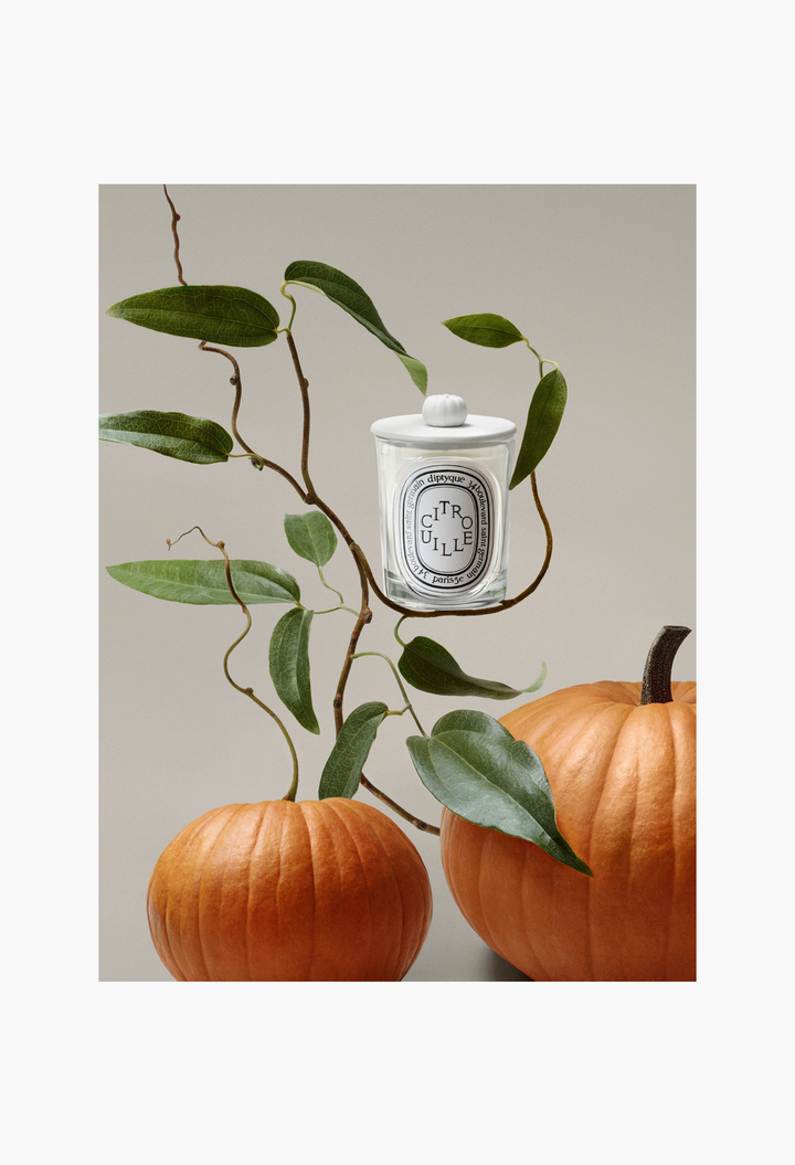 Diptyque Pumpkin Lid - For classic candle