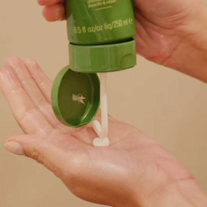 Aveda Be Curly Advanced Conditioner 250ml - GLAM MODA