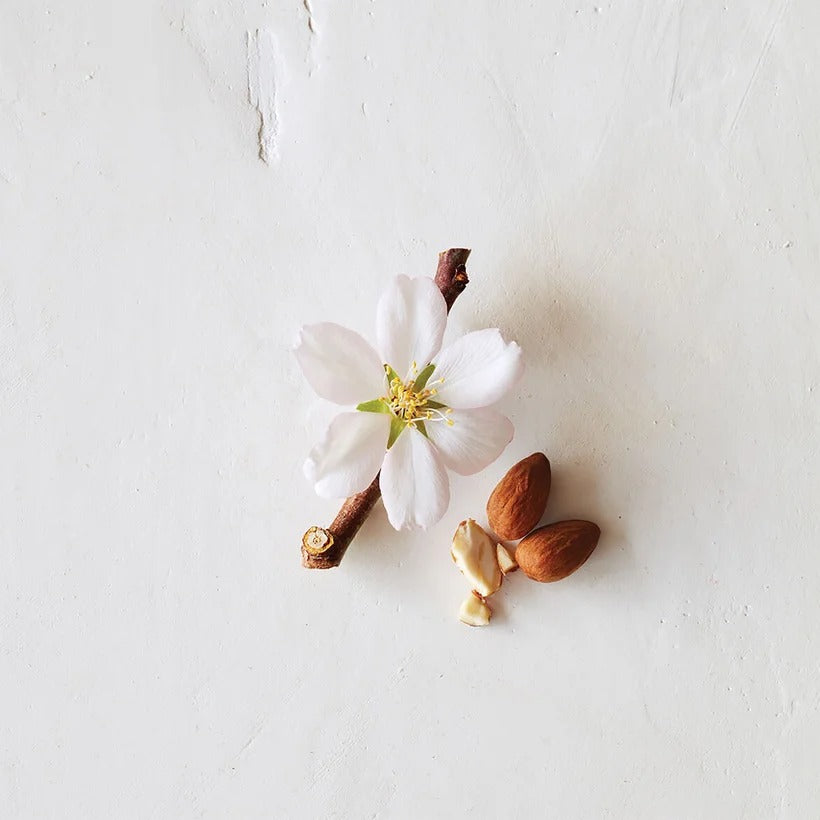 Aveda Cherry Almond Shampoo - GLAM MODA