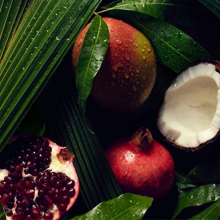 Aveda Nutriplenish Deep Moisture Shampoo - GLAM MODA