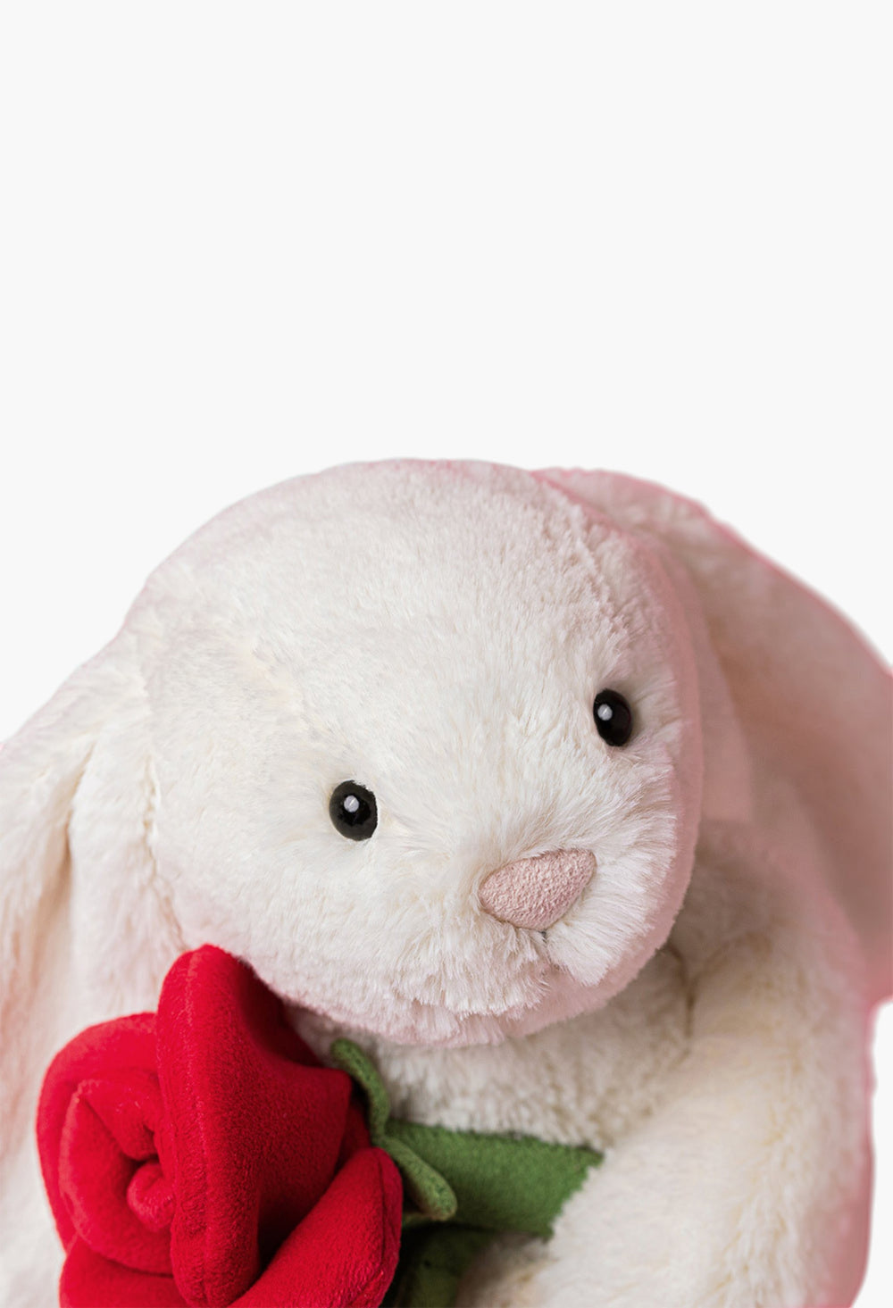 Cream Bunny With Rose - GLAM MODA