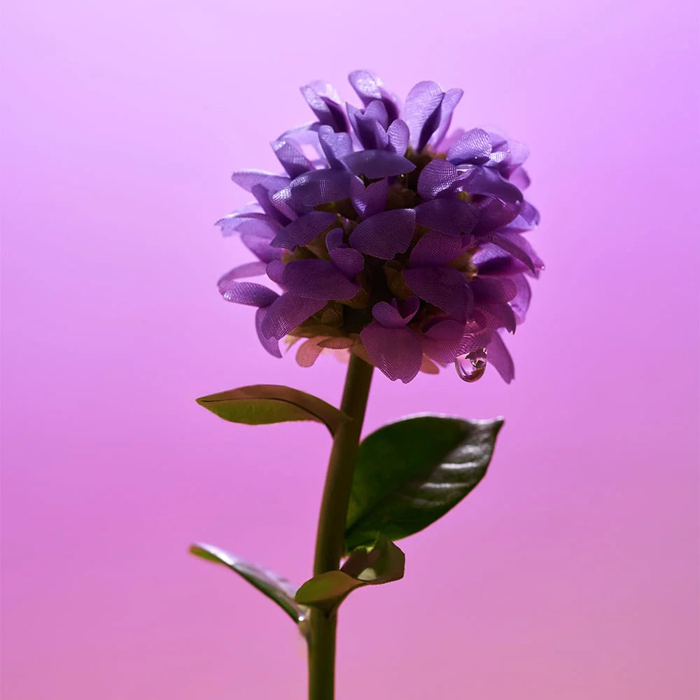 Bakuchiol Plumping Serum - Plumping Skin And Tightening Pores - GLAM MODA