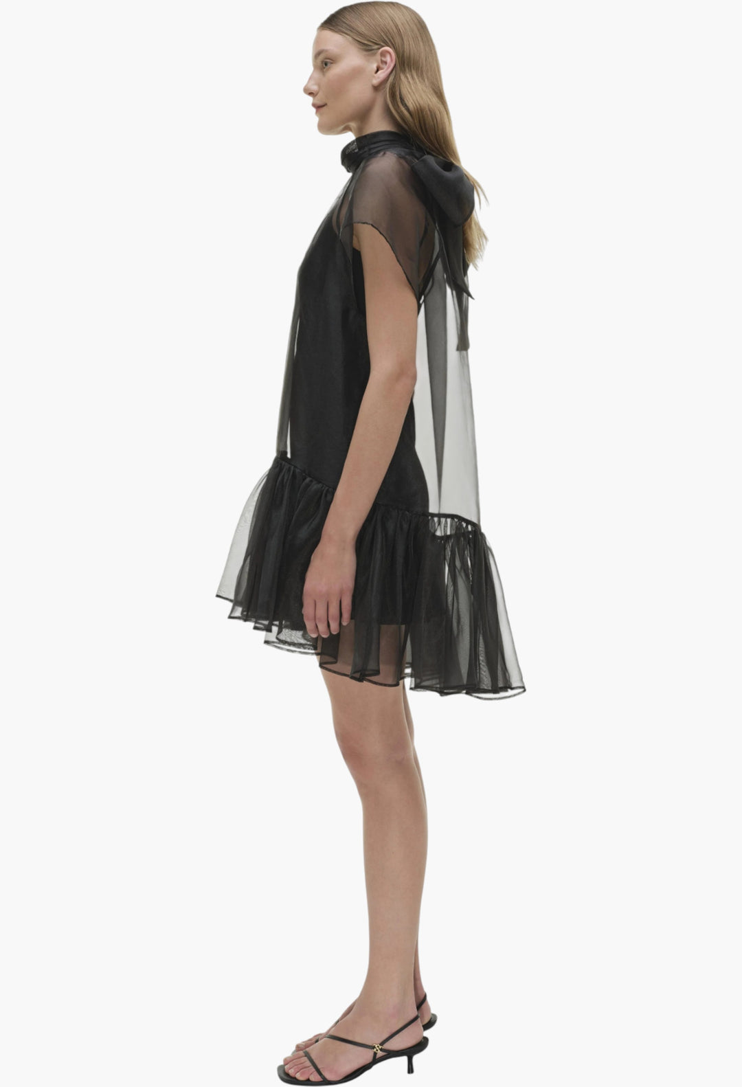 Beaux Organza Dress - GLAM MODA