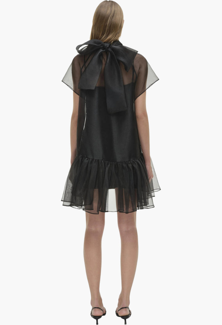 Beaux Organza Dress - GLAM MODA