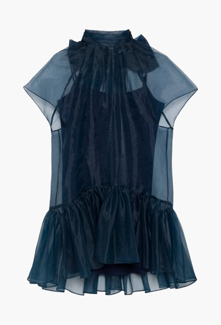 Beaux Organza Dress - GLAM MODA