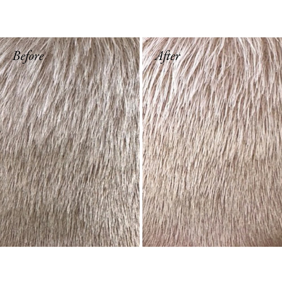 Bright Blonde Radiance & Repair Treatment 175ml - GLAM MODA