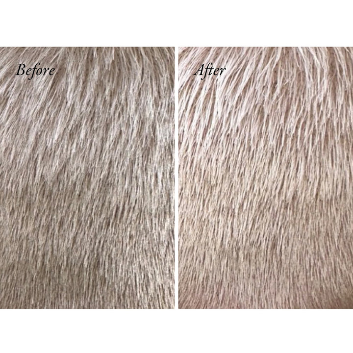 Bright Blonde Radiance & Repair Treatment 175ml - GLAM MODA