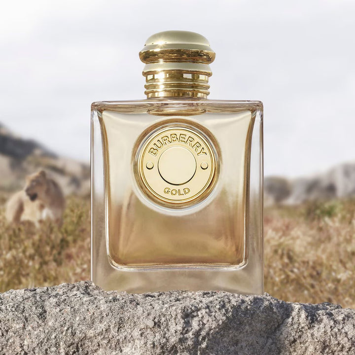 Burberry Gold - Eau de Parfum - GLAM MODA