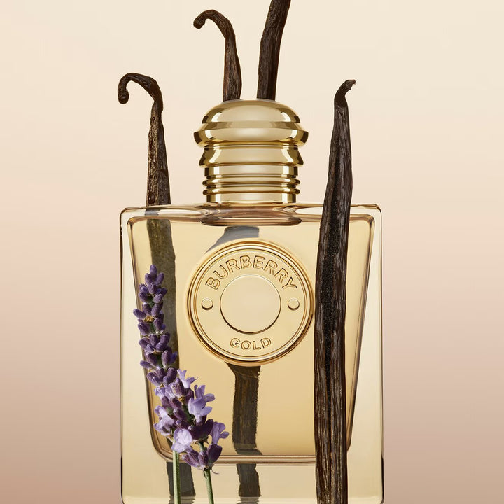 Burberry Gold - Eau de Parfum - GLAM MODA