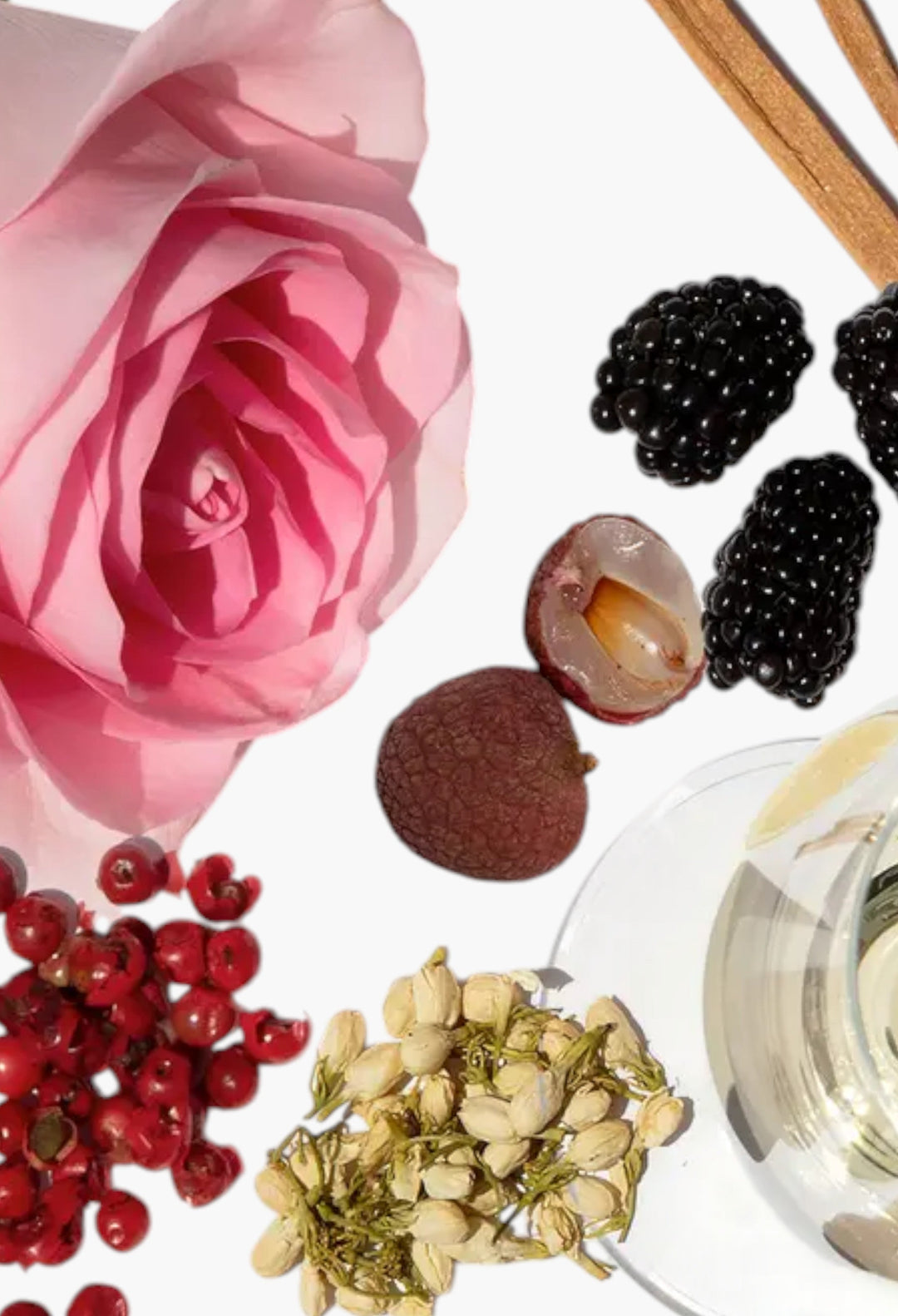 Detox Shampoo - GLAM MODA