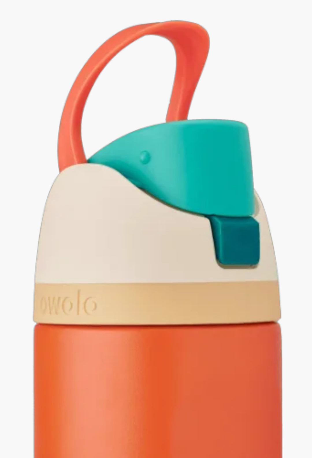 Disney Princess Collection - GLAM MODA