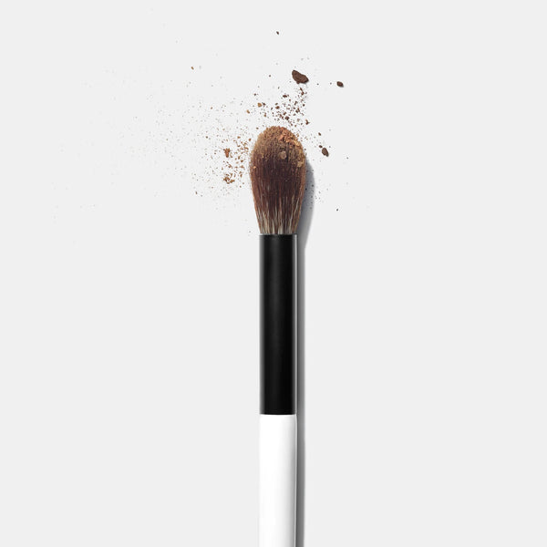 EF 2 Brush